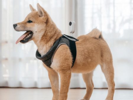 Insta360 GO 2 Pet Strap Mount - Capture the World From Your Pet s Perspective Fashion