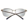 Ladies  Sunglasses Gant GA80515749G Cheap