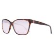 Ladies  Sunglasses Gant GA80275852Z Discount